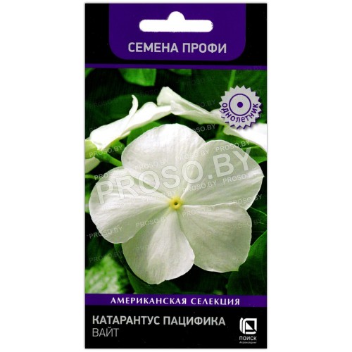 Катарантус розовый Пацифик вайт