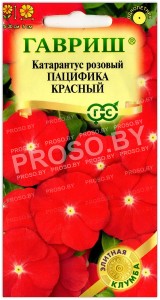 Катарантус розовый Пацифика красный