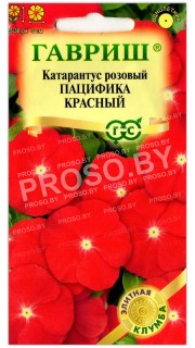 Катарантус розовый Пацифика красный