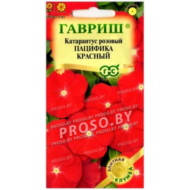 Катарантус розовый Пацифика красный