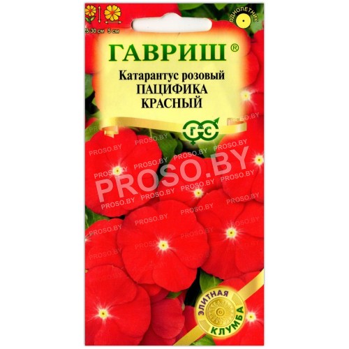 Катарантус розовый Пацифика красный