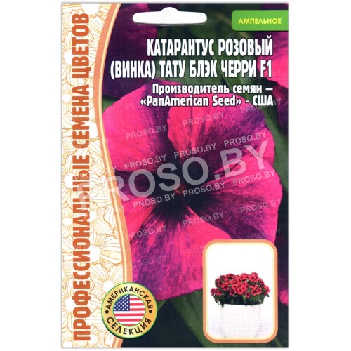 Катарантус розовый (винка) Тату блэк черри F1