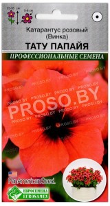 Катарантус розовый Тату папайя