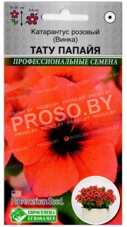 Катарантус розовый Тату папайя