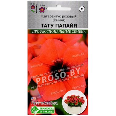 Катарантус розовый Тату папайя