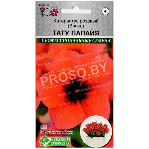 Катарантус розовый Тату папайя