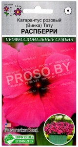 Катарантус розовый Тату распберри