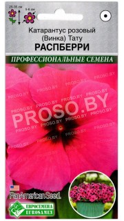 Катарантус розовый Тату распберри