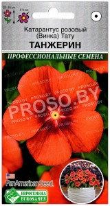 Катарантус розовый Тату танжерин