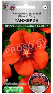 Катарантус розовый Тату танжерин