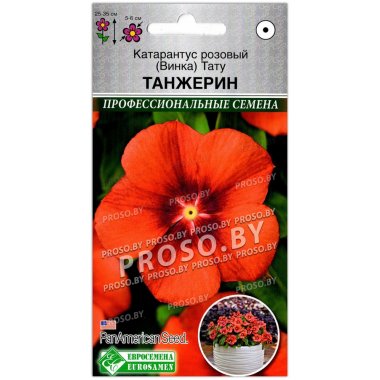 Катарантус розовый Тату танжерин