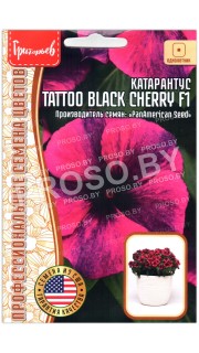 Катарантус Tatoo black cherry F1