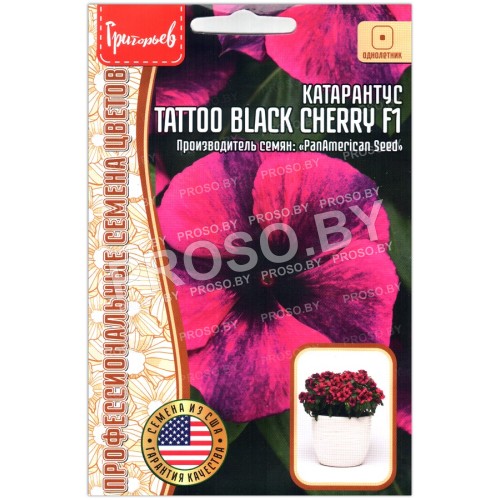 Катарантус Tatoo black cherry F1