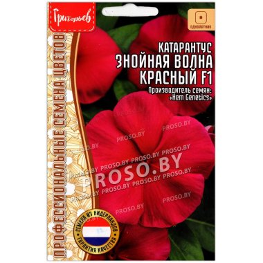 Катарантус Знойная волна красный F1