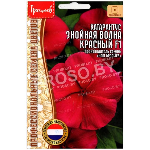 Катарантус Знойная волна красный F1
