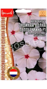 Катарантус Знойная волна пепперминт F1