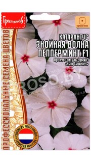 Катарантус Знойная волна пепперминт F1