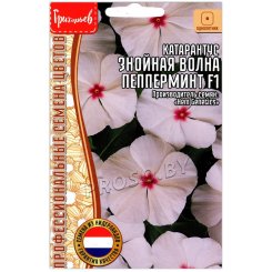 Катарантус Знойная волна пепперминт F1