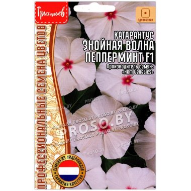 Катарантус Знойная волна пепперминт F1