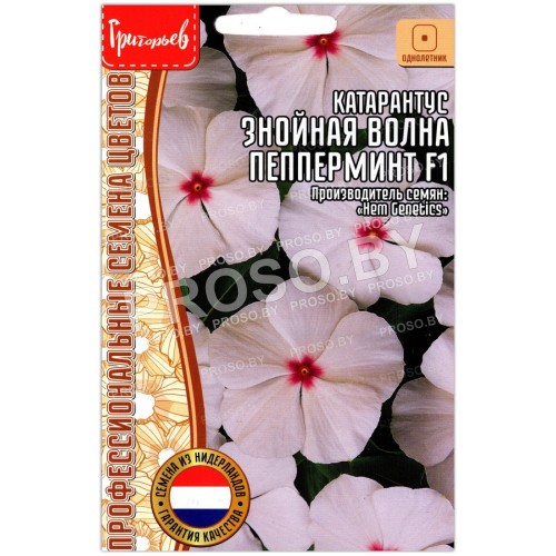 Катарантус Знойная волна пепперминт F1
