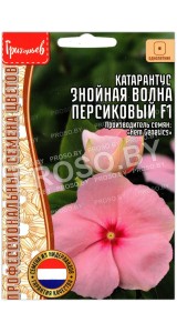 Катарантус Знойная волна персиковый F1