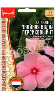 Катарантус Знойная волна персиковый F1
