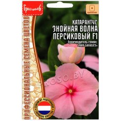 Катарантус Знойная волна персиковый F1