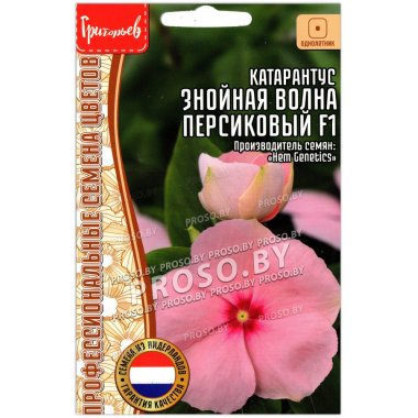 Катарантус Знойная волна персиковый F1