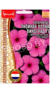 Катарантус Знойная волна виноград F1