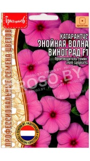 Катарантус Знойная волна виноград F1