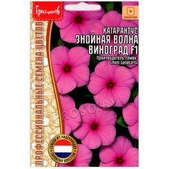 Катарантус Знойная волна виноград F1