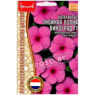 Катарантус Знойная волна виноград F1