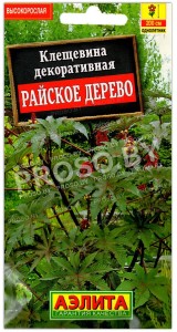 Клещевина декоративная Райское дерево