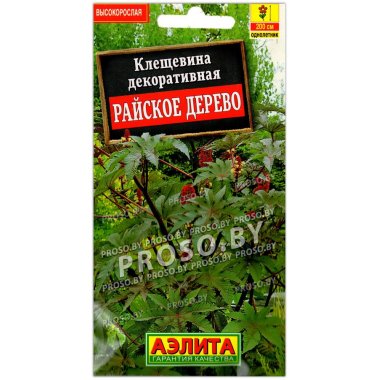 Клещевина декоративная Райское дерево