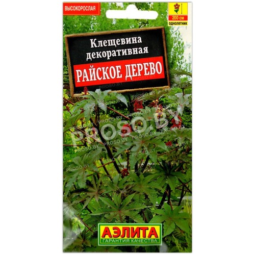 Клещевина декоративная Райское дерево
