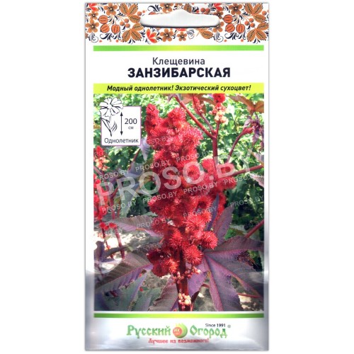 Клещевина Занзибарская