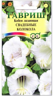 Кобея лазающая Свадебные колокола