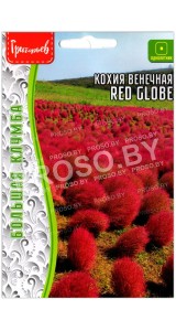 Кохия венечная Red globe