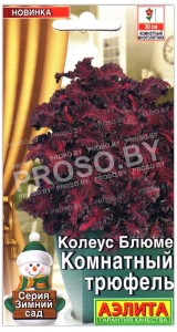 Колеус блюме Комнатный трюфель