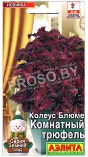 Колеус блюме Комнатный трюфель