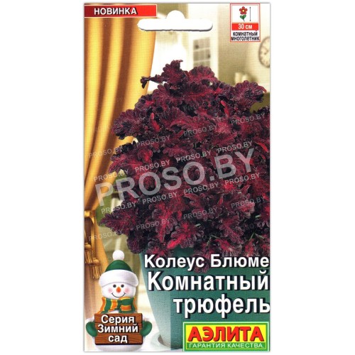 Колеус блюме Комнатный трюфель