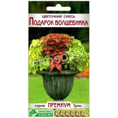 Колеус Подарок волшебника, смесь