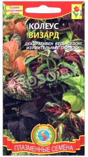 Колеус Визард, смесь