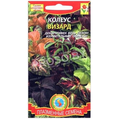 Колеус Визард, смесь