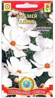 Космея Альба