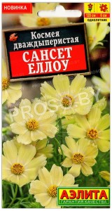 Космея дваждыперистая Сансет еллоу