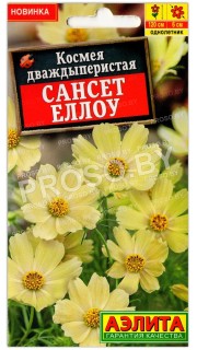 Космея дваждыперистая Сансет еллоу