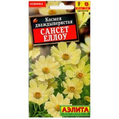 Космея дваждыперистая Сансет еллоу
