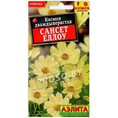 Космея дваждыперистая Сансет еллоу