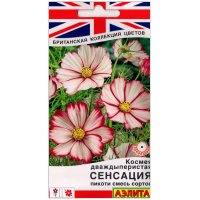 Космея дваждыперистая Сенсация пикоти, смесь